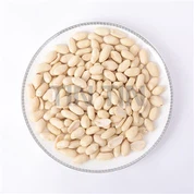 Eithne Peanut Blanched