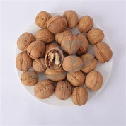 Walnut In Shell