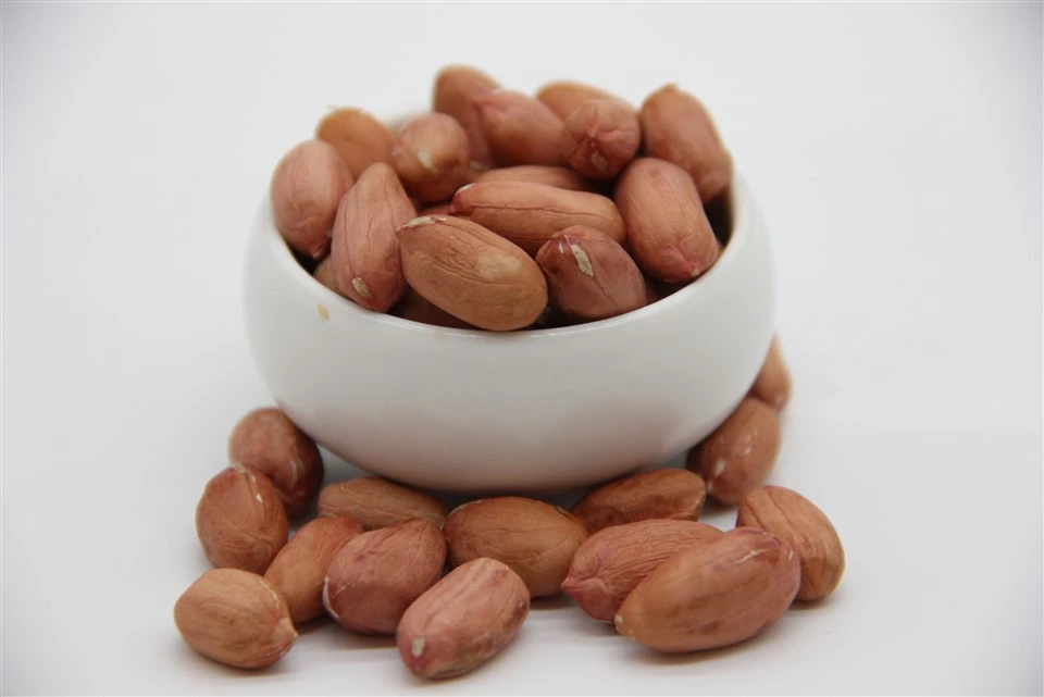 Hot Selling Healthy Peanut For Snacks With Premium Quality And Crunchiness Available At Reasonable Price Hot Selling Healthy Peanut For Snacks With Premium Quality And Crunchiness Available At Reasonable Price