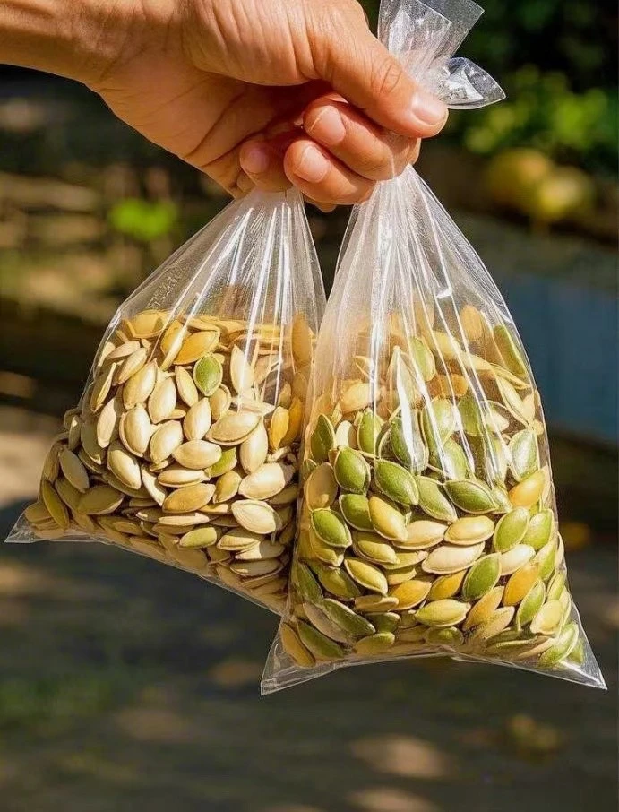 Lady Nail Pumpkin Seeds