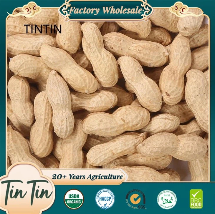 Píseanna talún i Shell Píseanna talún Síneach 9/11 & 11/13