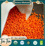 Lintilí Dearga Cheanada