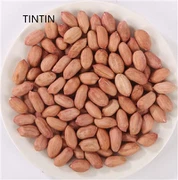 Eithne Peanut Síne Ardchaighdeáin