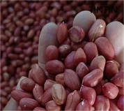 Díol Te Eithne Peanut Craiceann Dearg na Síne Ardchaighdeáin