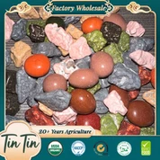 Díolachán Te Cáilíochta den Scoth agus an Praghas is Fearr Seacláid Cloch na Síne