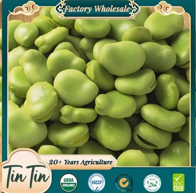Pónairí Fava triomaithe préimhe