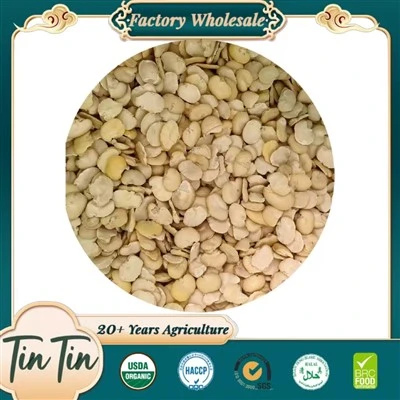 Split Broad Bean Bulk For Food Processing